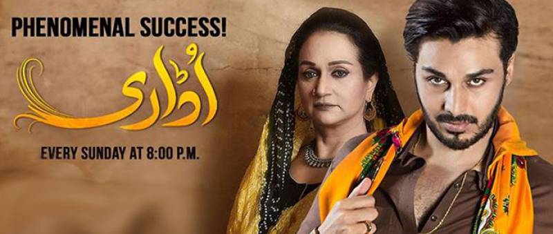 What To Expect From Udaari's Finale