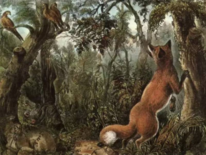 CAN YOU FIND 16 HIDDEN ANIMALS IN 2 MINUTES?